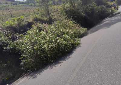 TRABAJOS DE LIMPIEZA EN LAS VÍAS DE LA PARROQUIA 